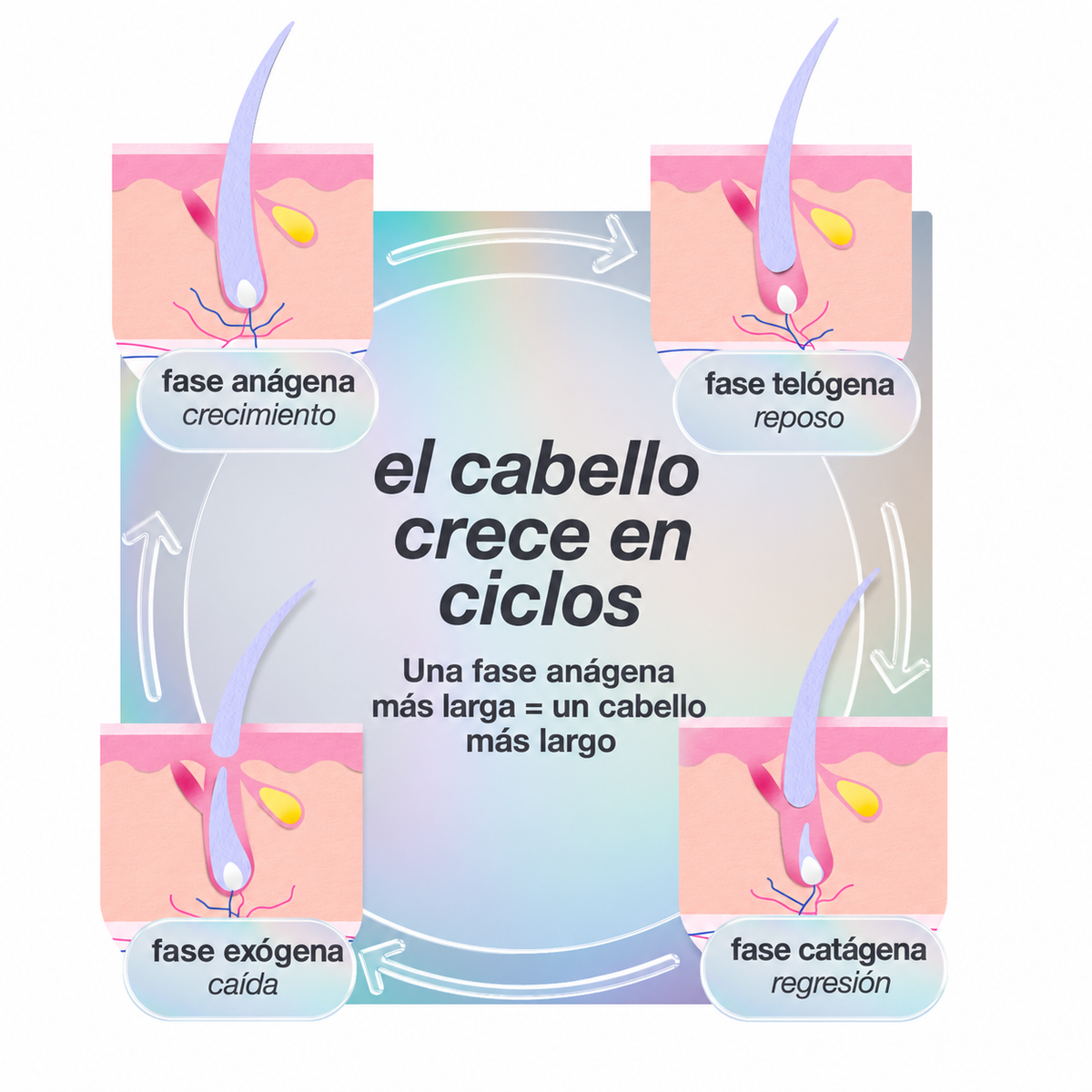 ¿Para quién es esto?