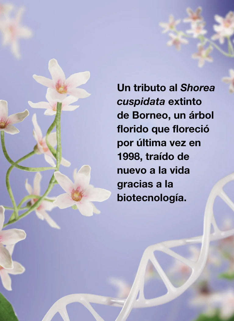 k18-x-future-society-leave-in-molecular-hair-mask